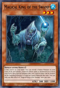 Sorcerer of the Swamp (CORI-EN024) - Common