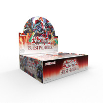 Burst Protocol Display (24ct.)